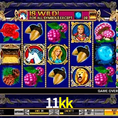 11kk Cassino - 80+ Mesas ao Vivo